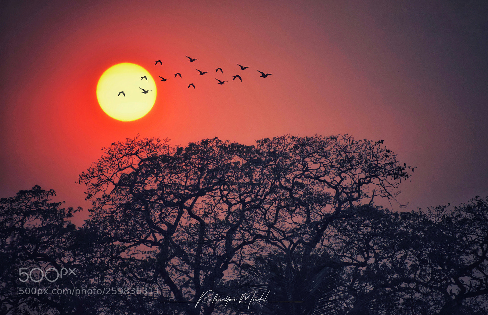 Nikon D5300 sample photo. Untitled photography