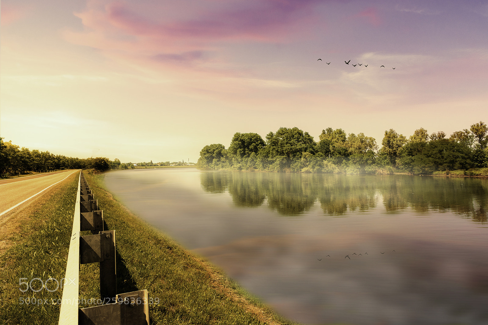 Canon EOS 6D Mark II sample photo. Img photography