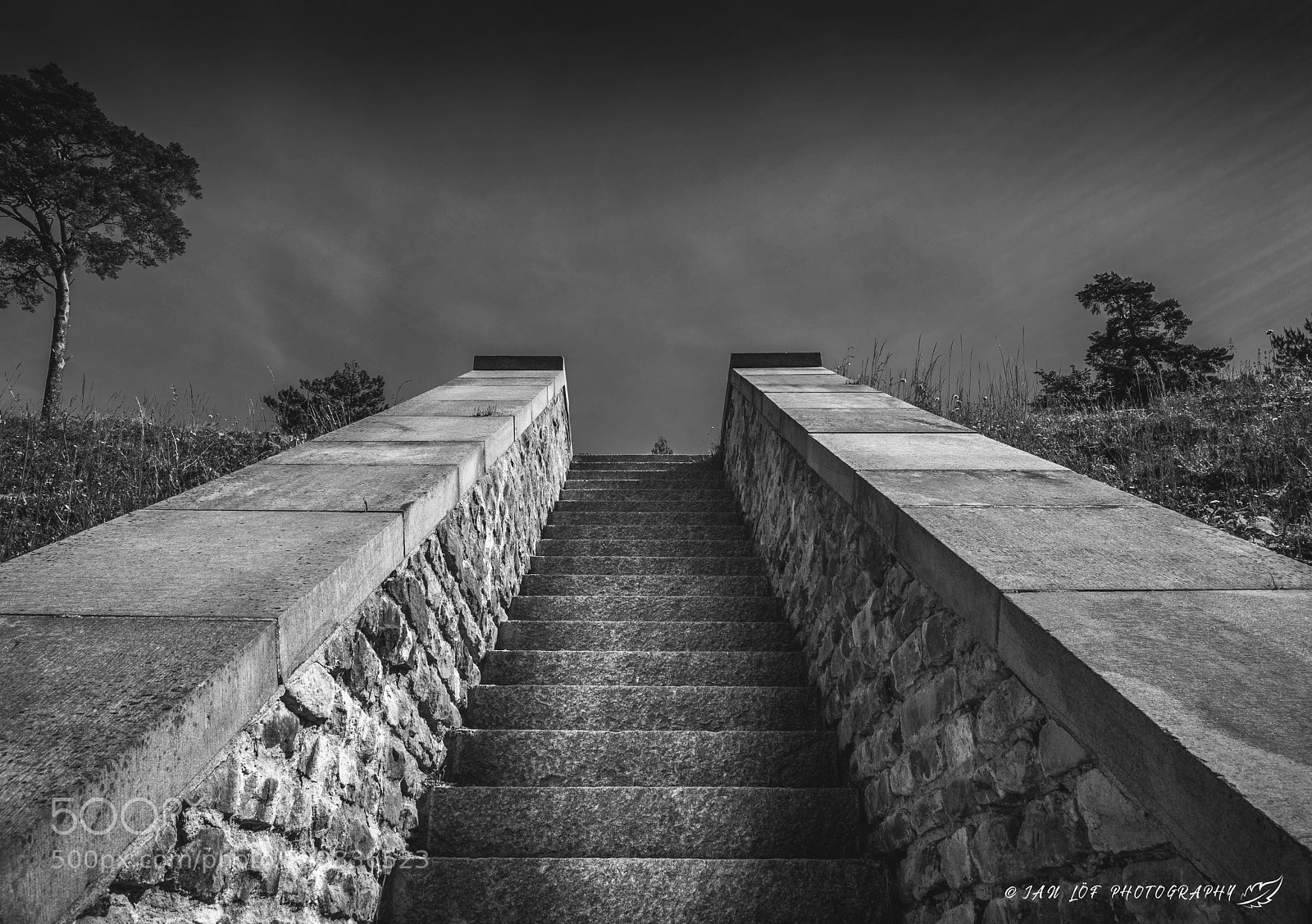 Nikon D7200 sample photo. Reach the sky photography