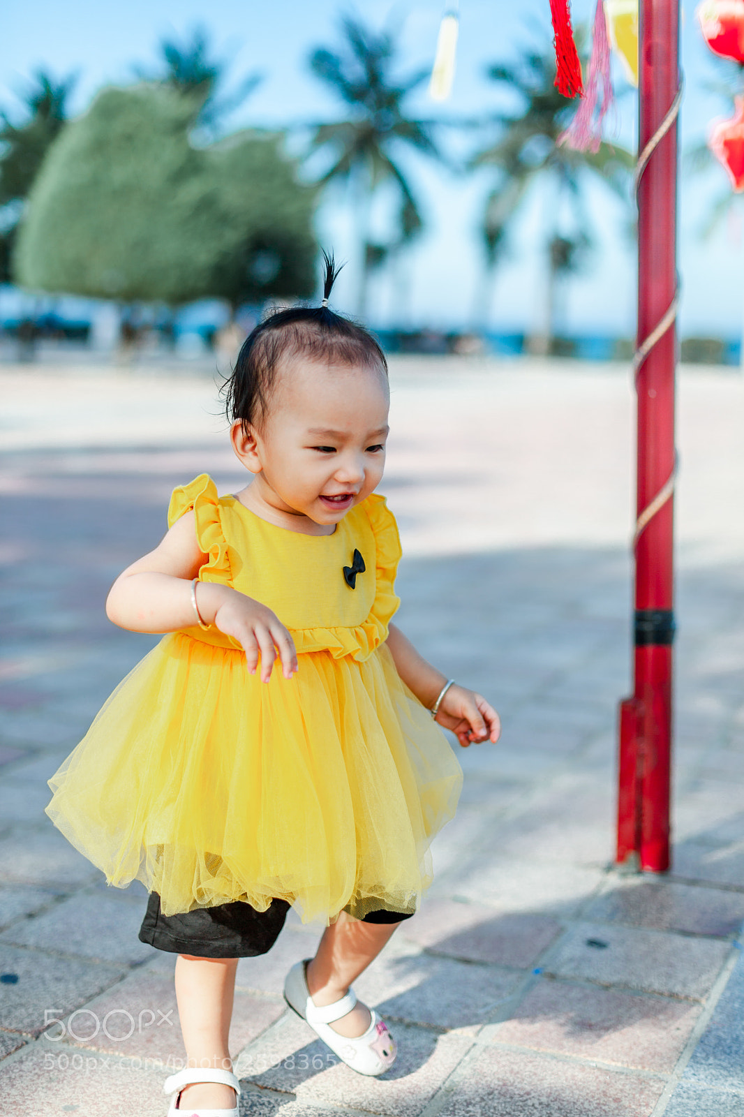 Canon EOS 5D Mark II sample photo. Img photography