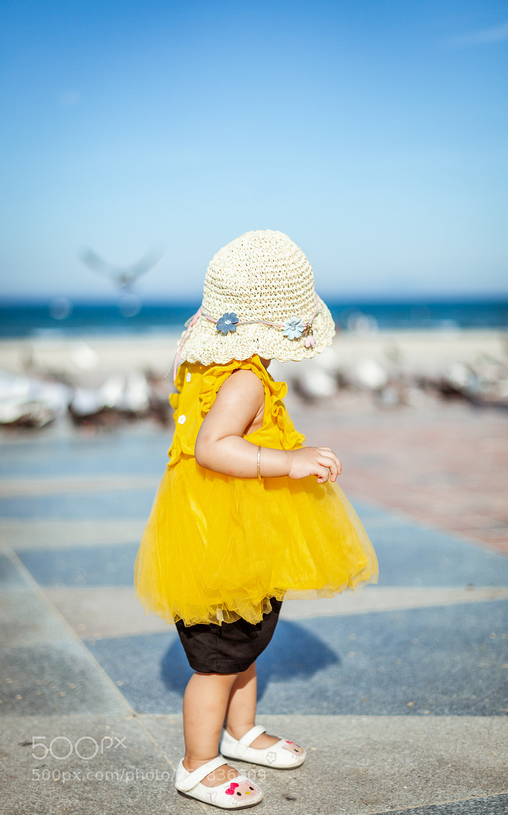 Canon EOS 5D Mark II sample photo. Img photography