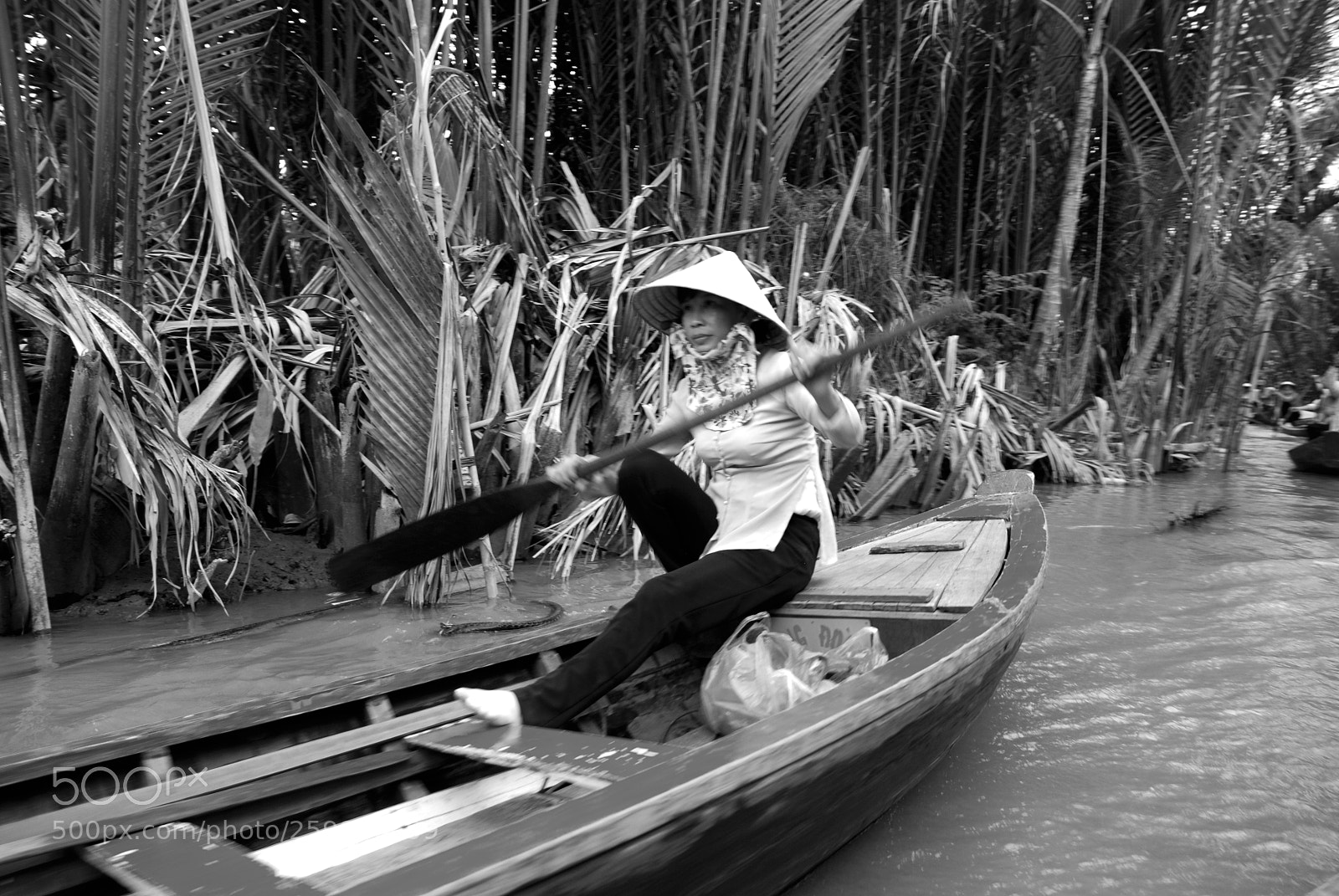 Nikon D80 sample photo. From mekong delta, with photography