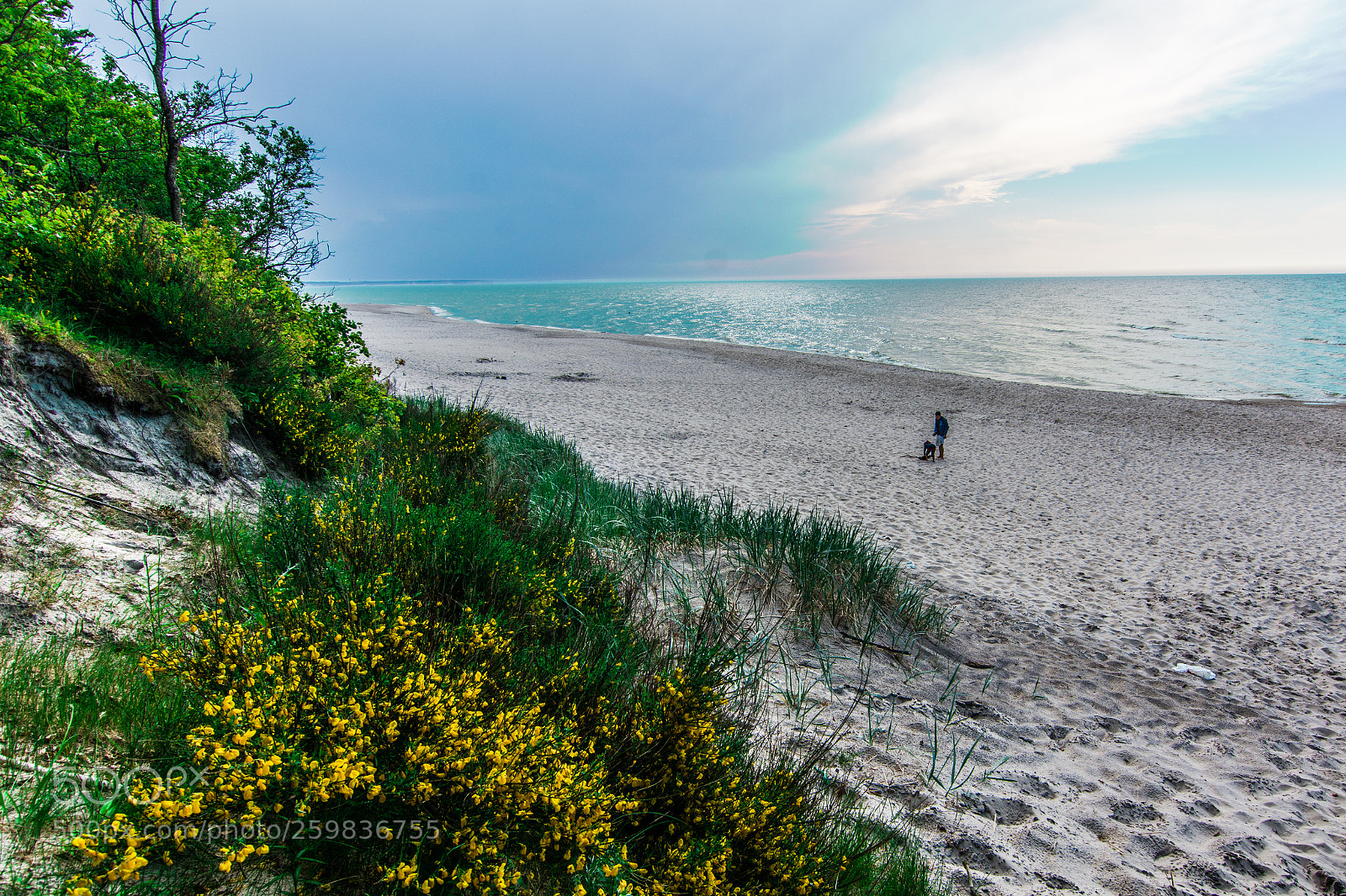 Nikon D7100 sample photo. Beach in may photography
