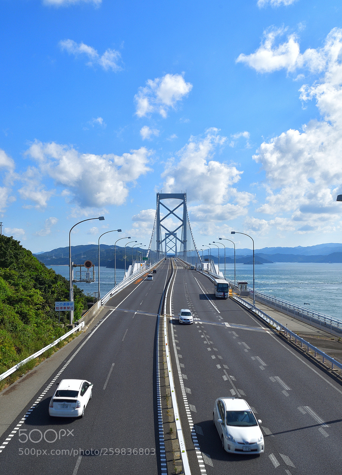 Nikon D5100 sample photo. Far away photography