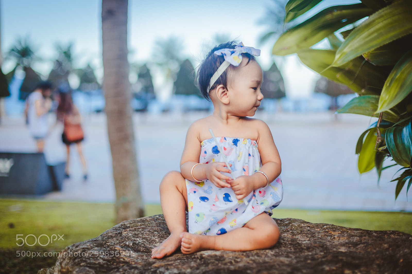 Canon EOS 5D Mark II sample photo. Img photography