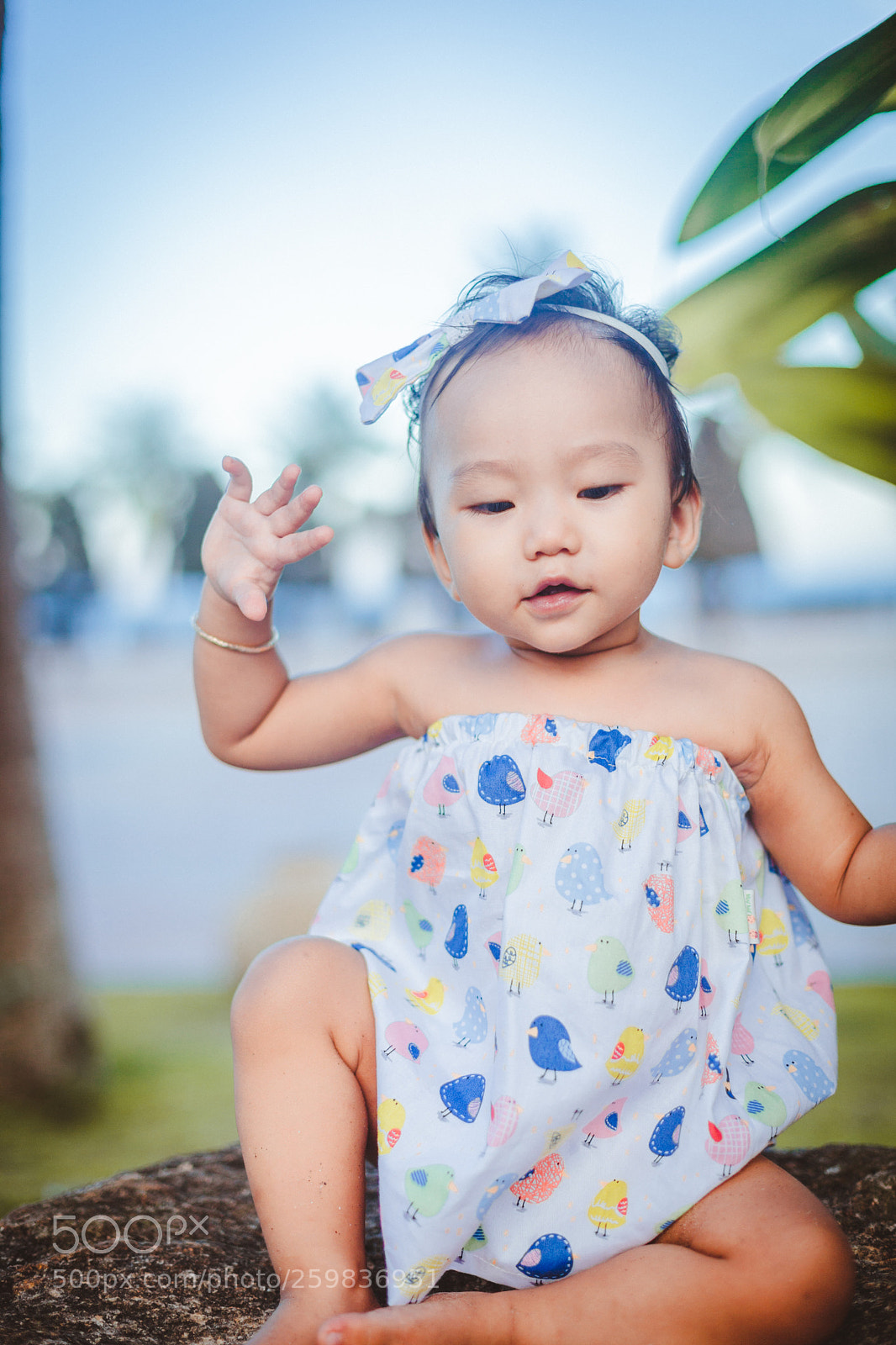 Canon EOS 5D Mark II sample photo. Img photography