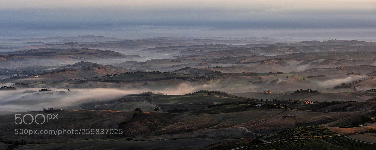 Olympus OM-D E-M5 sample photo. One morning in tuscany photography