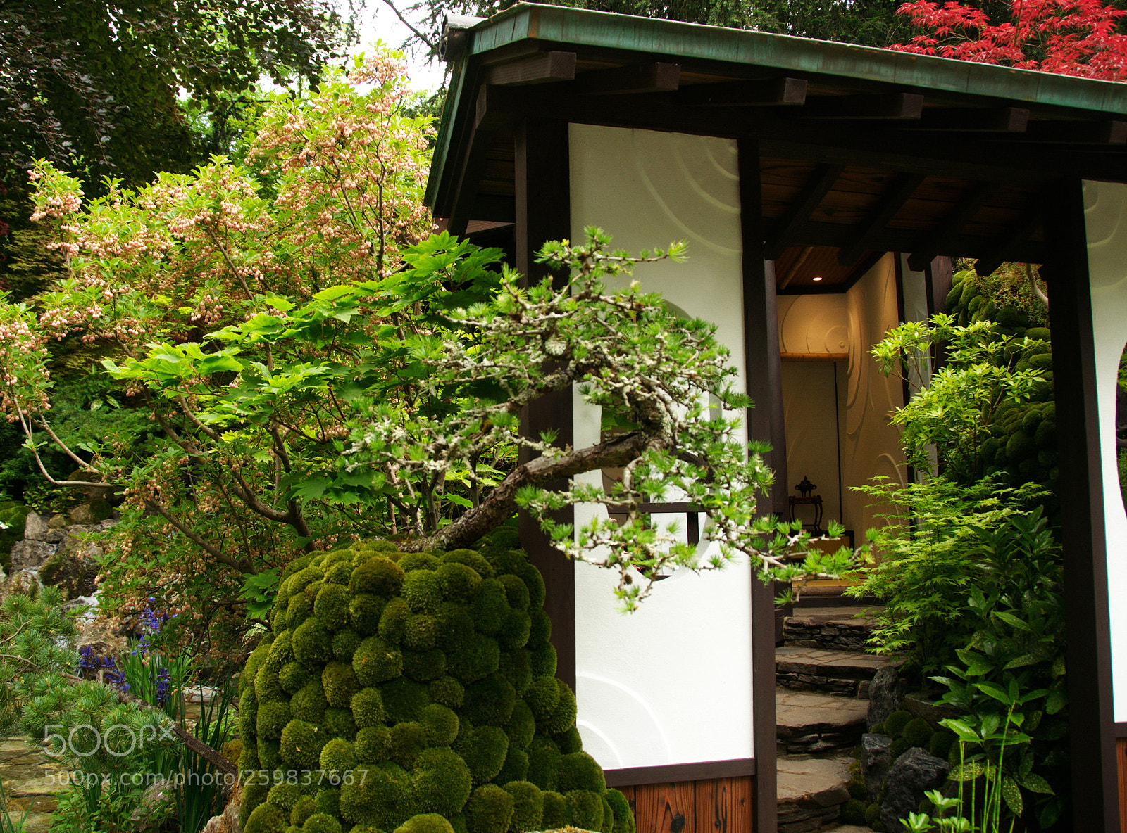 Nikon D300S sample photo. Motenashi garden, chelsea flower photography