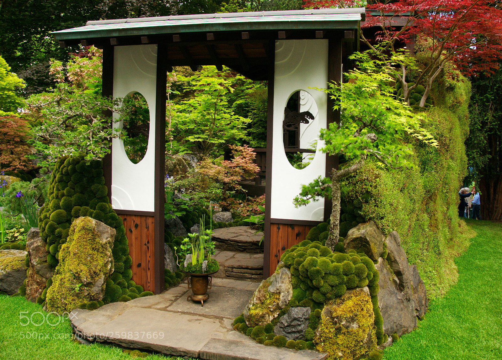 Nikon D300S sample photo. Motenashi garden, chelsea flower photography