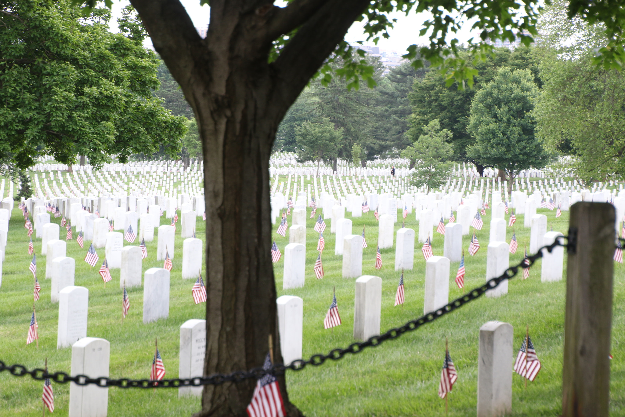 Canon EOS 7D Mark II sample photo. Arlington national cemetery photography