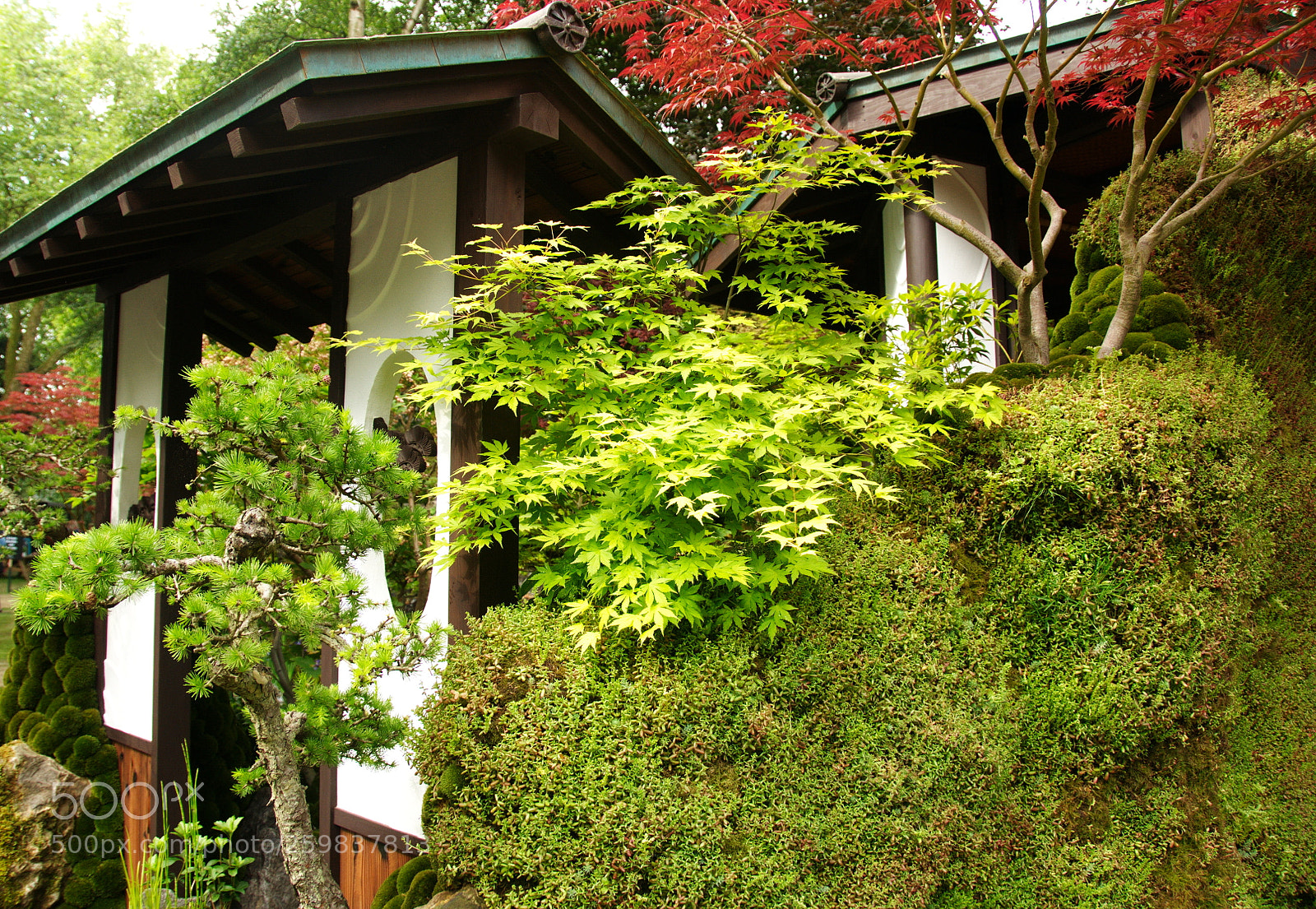 Nikon D300S sample photo. Motenashi garden, chelsea flower photography