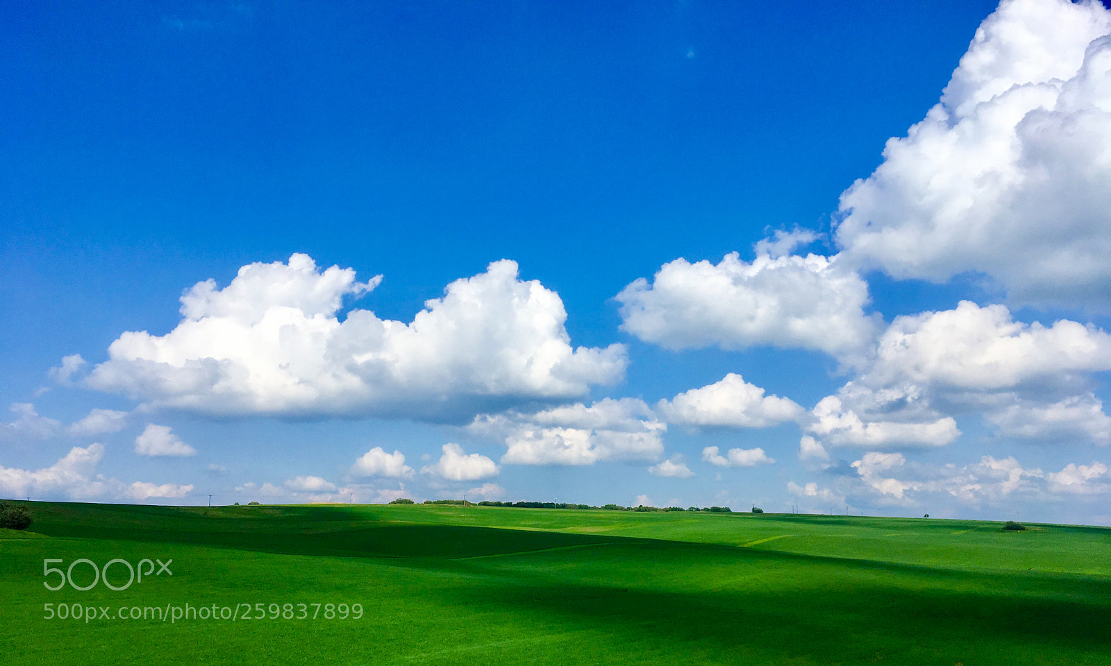 Apple iPhone SE sample photo. Windows xp :) photography