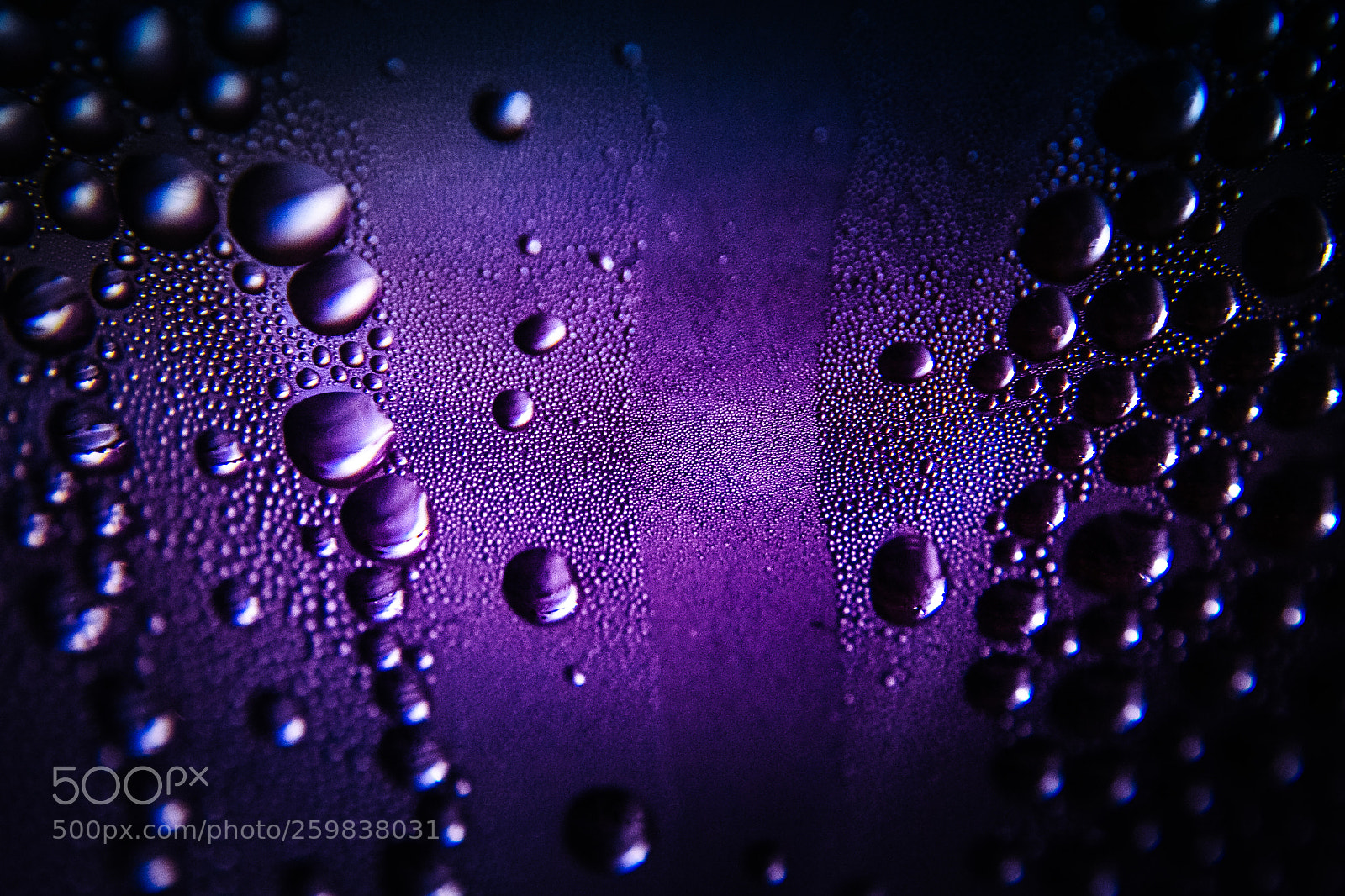 Nikon D3100 sample photo. Texture of water drops photography