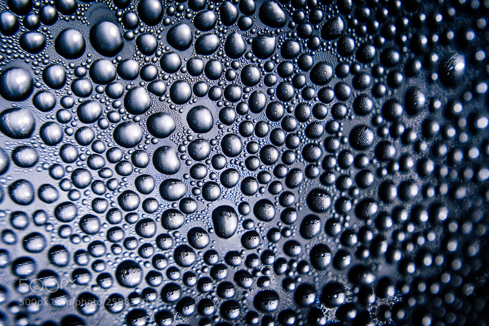 Nikon D3100 sample photo. Texture of water drops photography