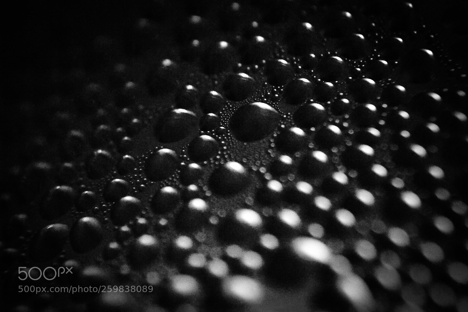 Nikon D3100 sample photo. Texture of water drops photography