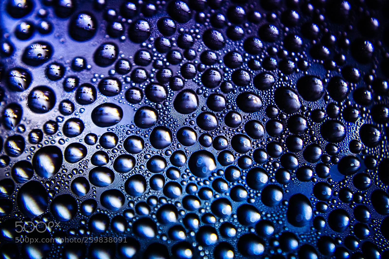 Nikon D3100 sample photo. Texture of water drops photography