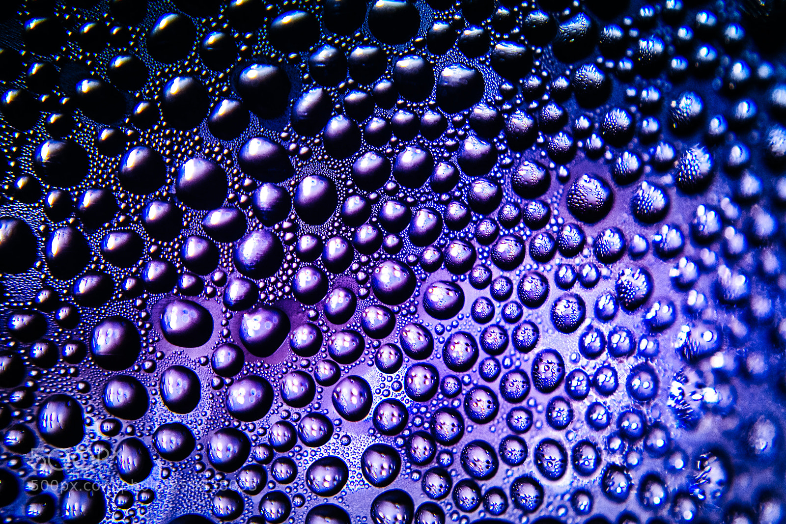 Nikon D3100 sample photo. Texture of water drops photography