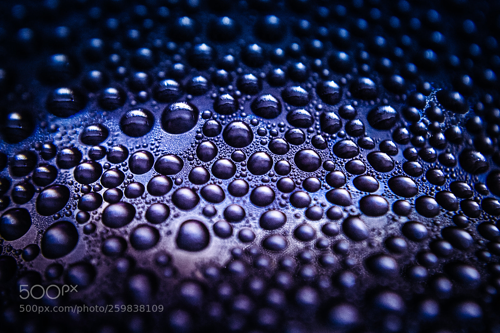 Nikon D3100 sample photo. Texture of water drops photography