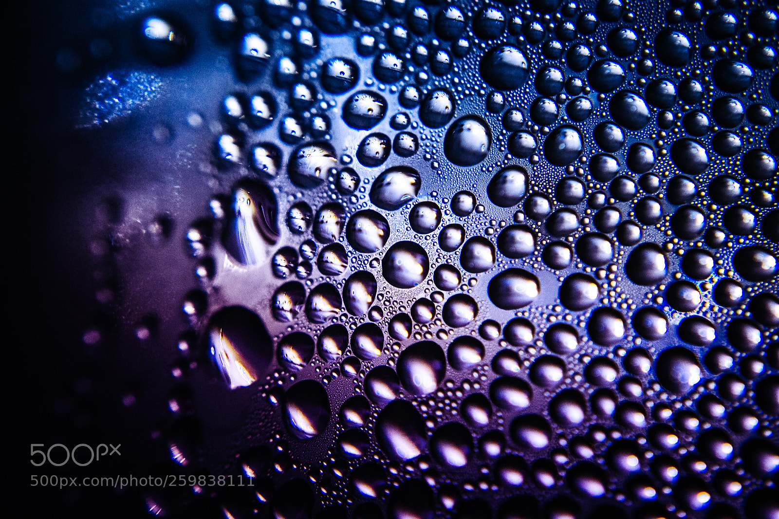 Nikon D3100 sample photo. Texture of water drops photography