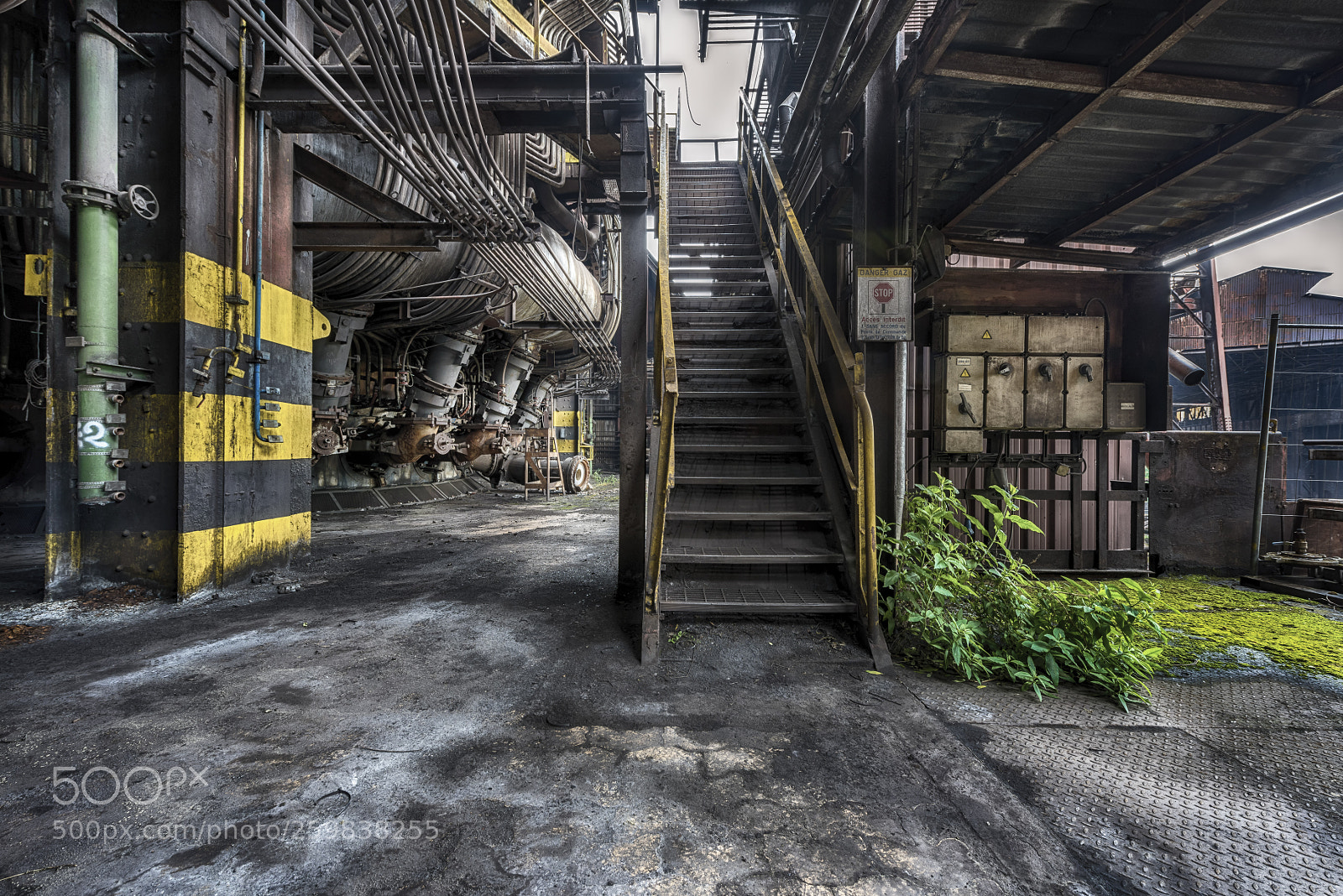 Nikon D810 sample photo. Hf6 photography