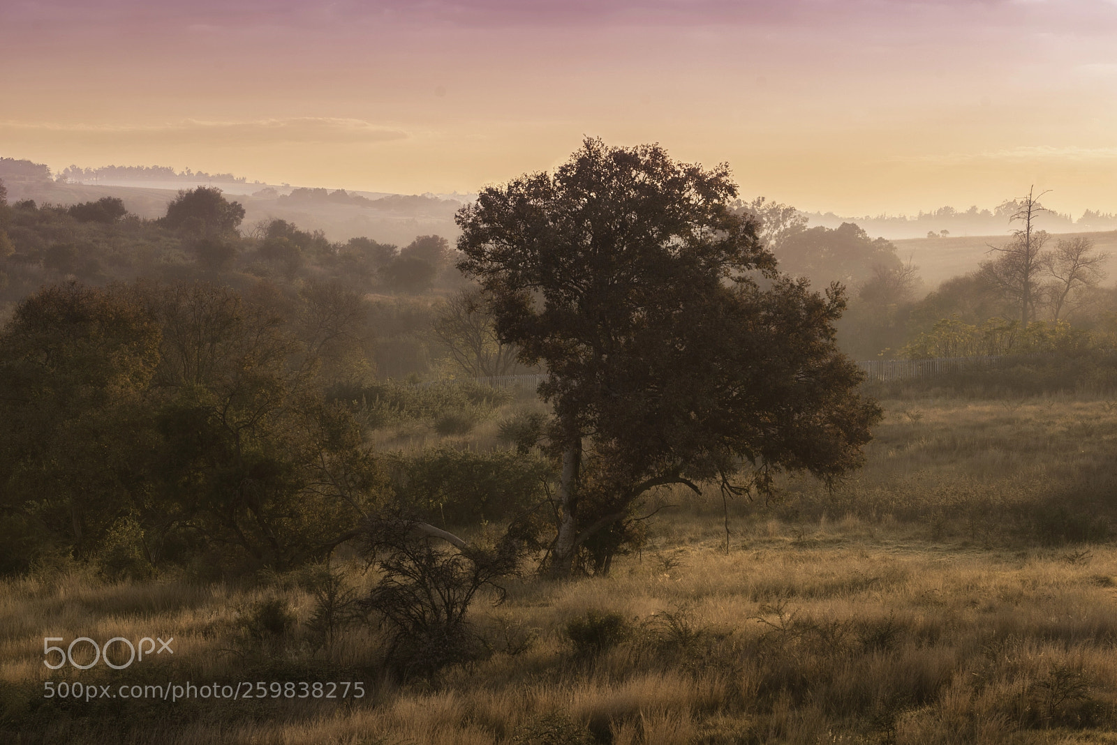 Nikon D750 sample photo. Early morning photography