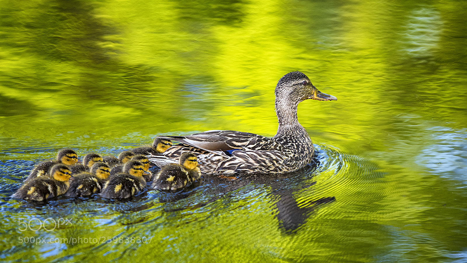 Nikon D810 sample photo. The first world experience photography