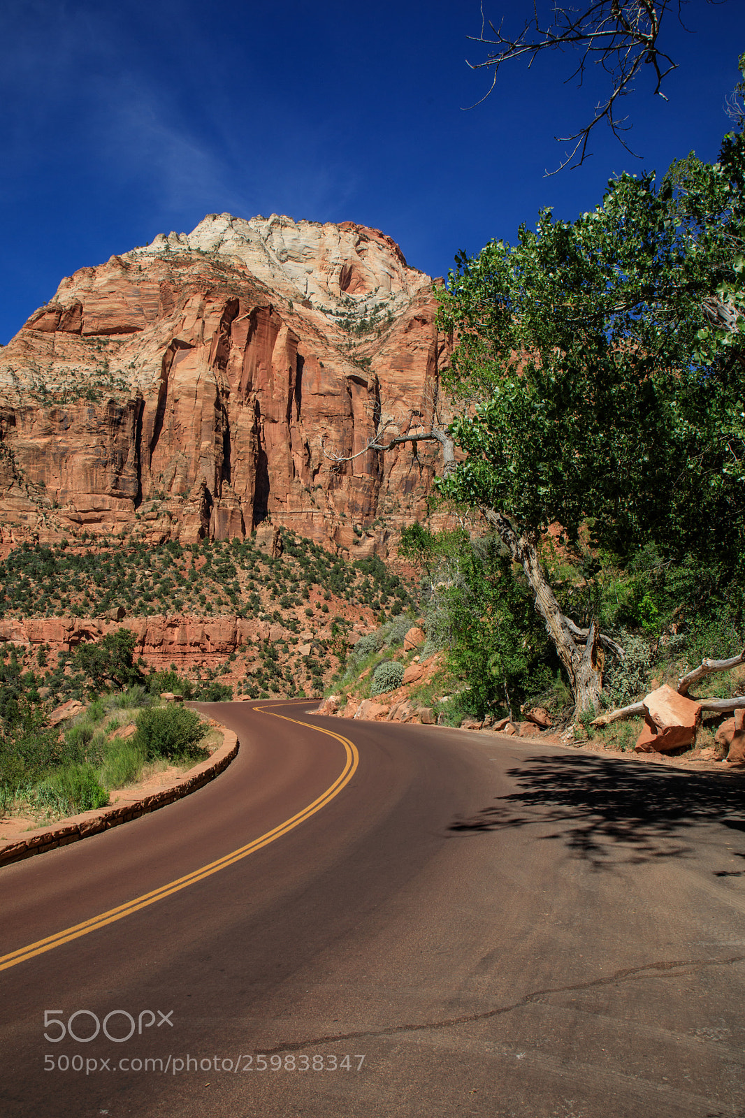 Canon EOS 5D Mark IV sample photo. Zion national park 0550 photography