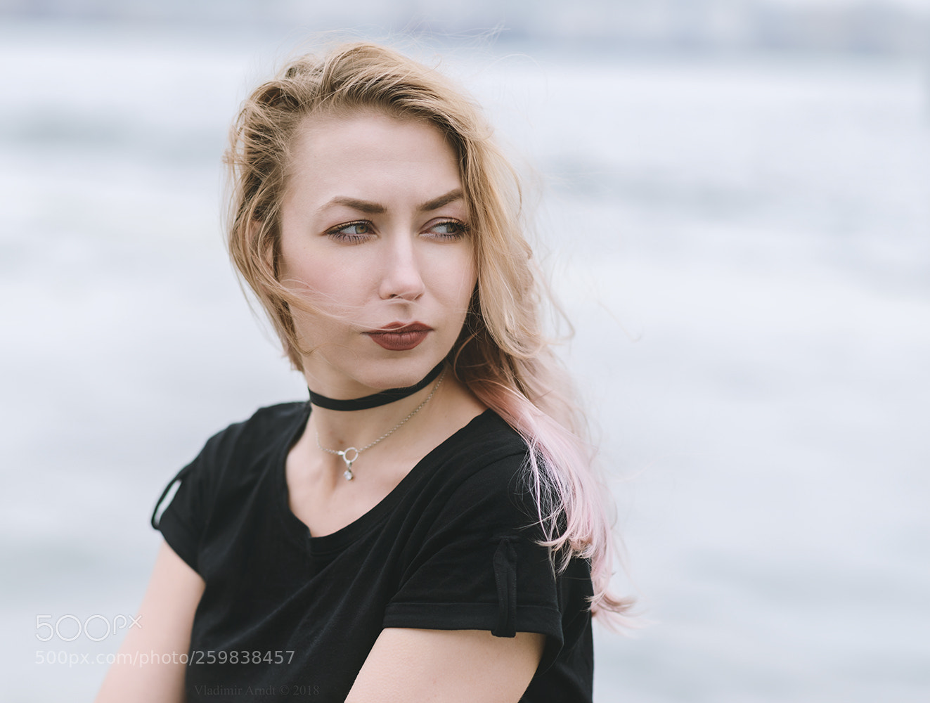 Nikon D800 sample photo. Marina photography