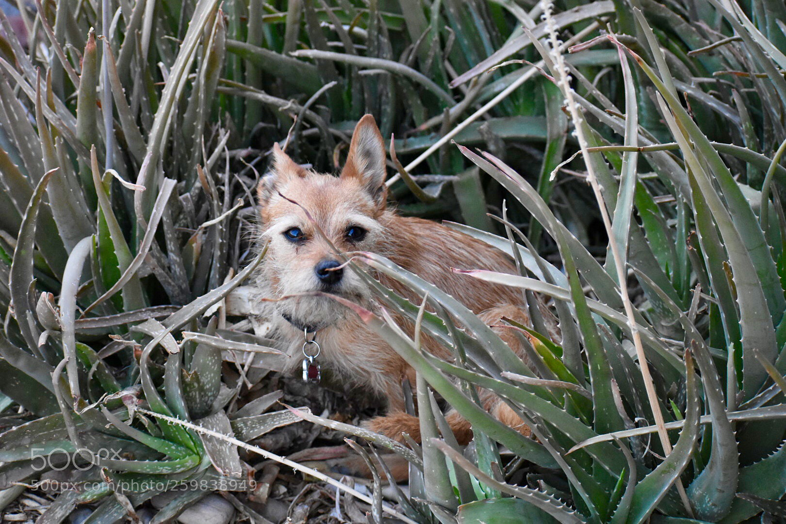 Nikon D3400 sample photo. Uh oh i ve photography