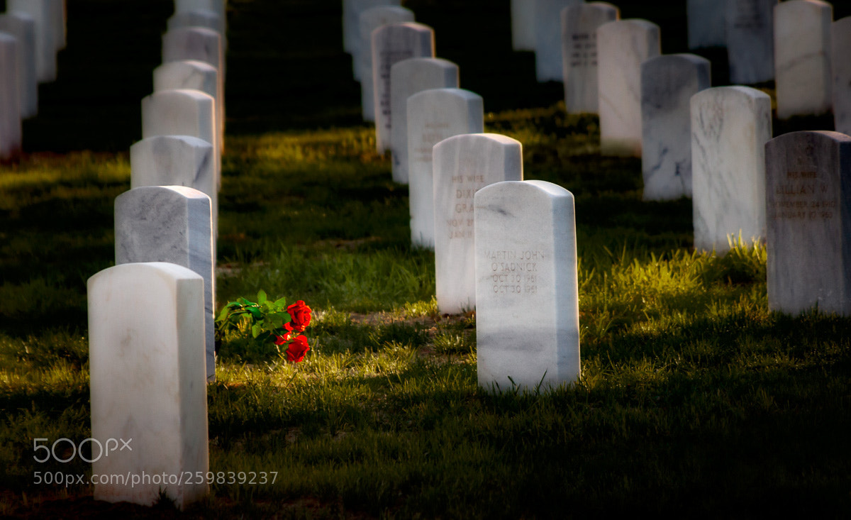 Canon EOS 5D Mark II sample photo. Remembering - photography