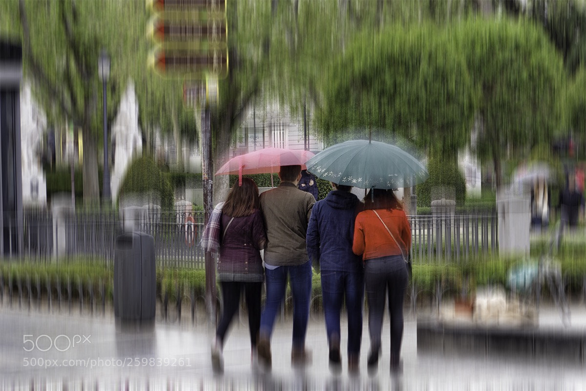 Olympus OM-D E-M1 Mark II sample photo. Rainy photography