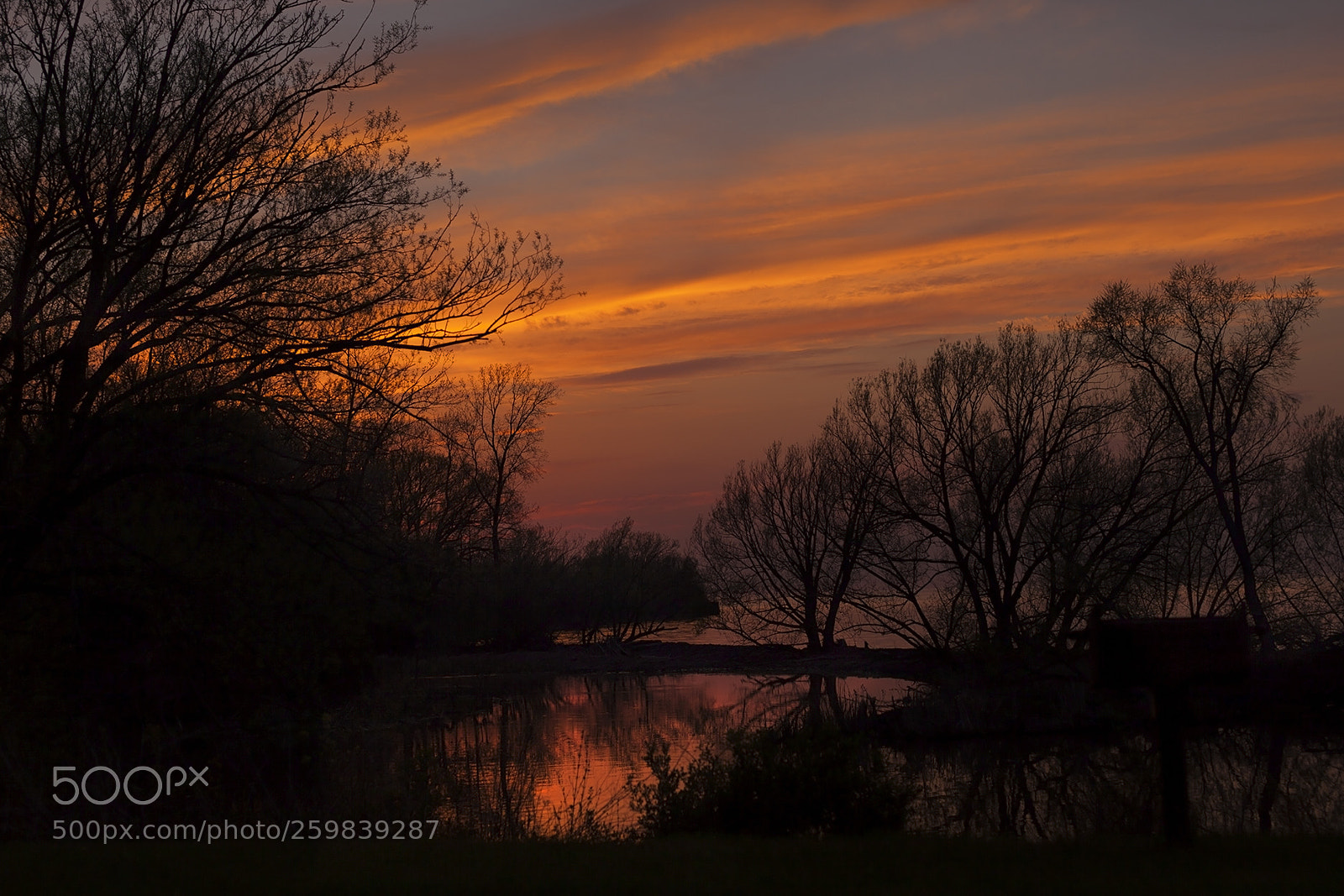 Canon EOS 5D Mark II sample photo. Golden magenta sky photography