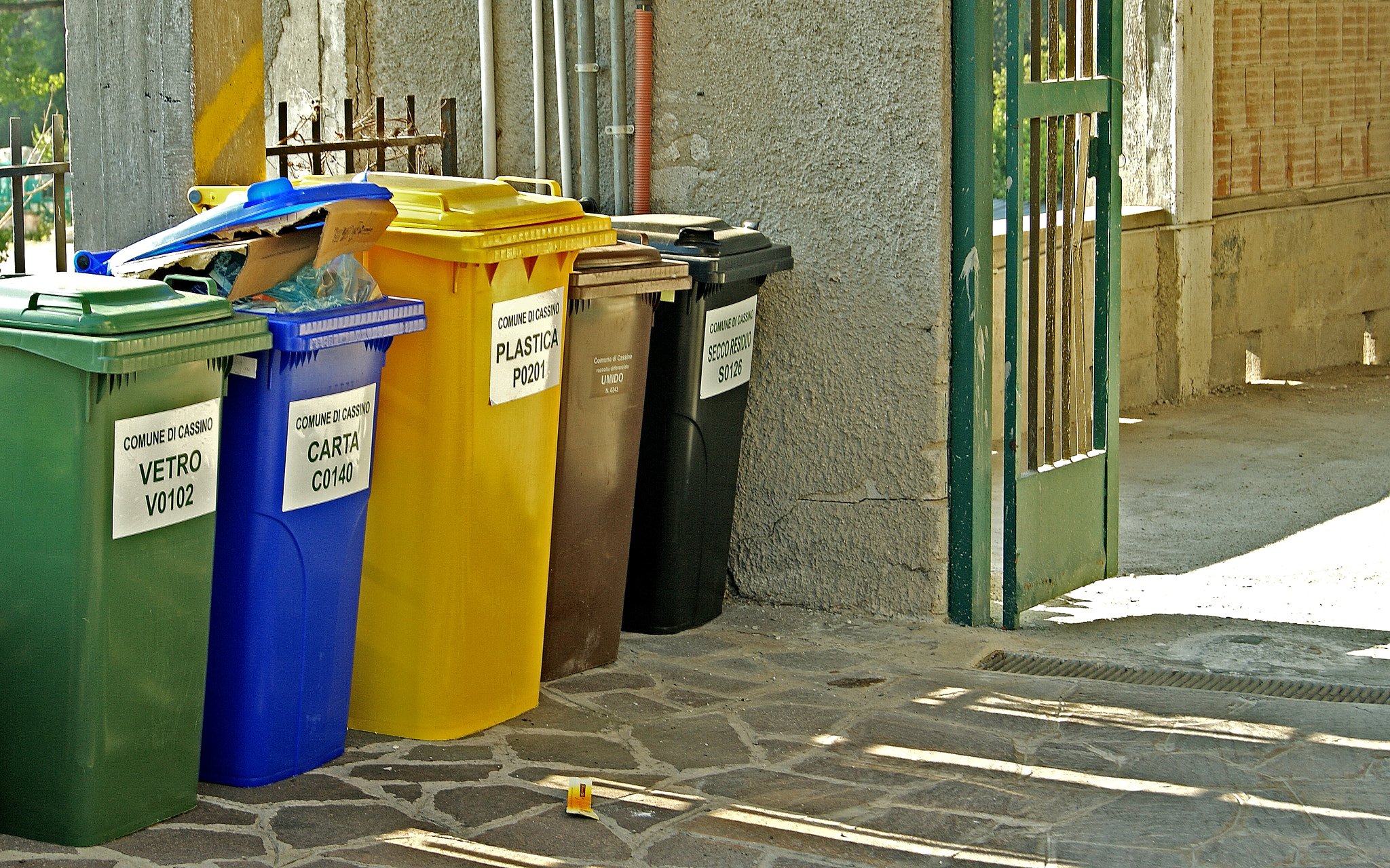 Sony Alpha DSLR-A290 sample photo. Classify photography