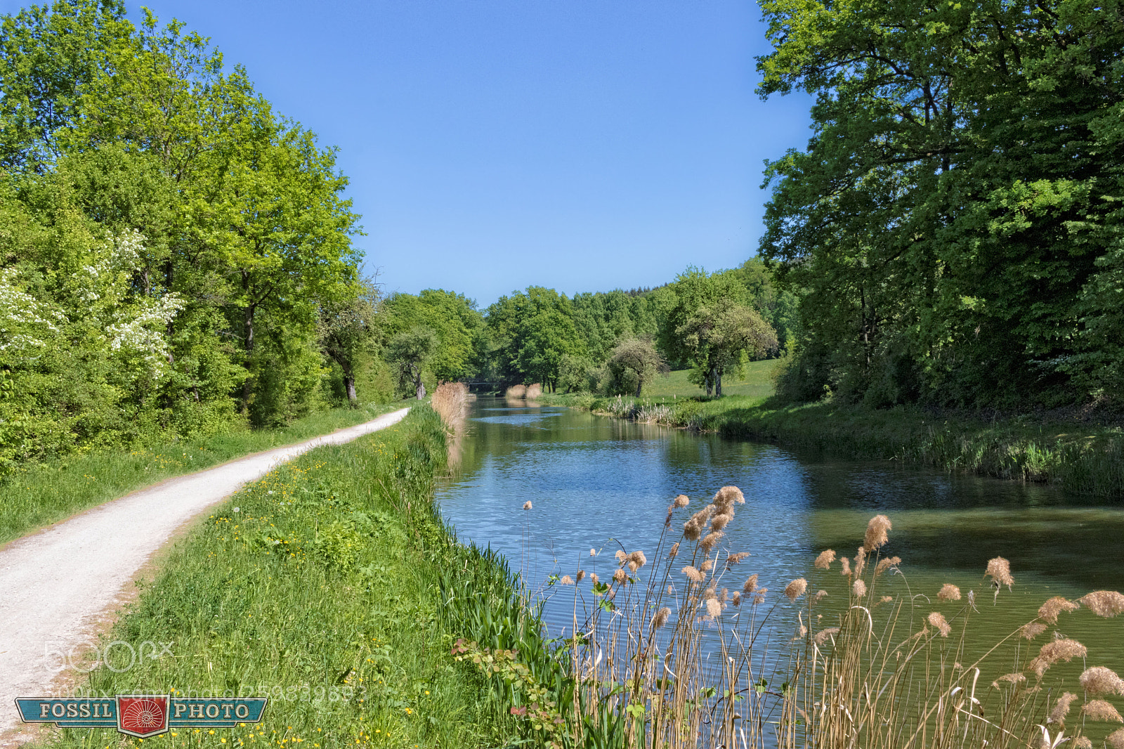 Canon EOS 80D sample photo. Along the water... photography