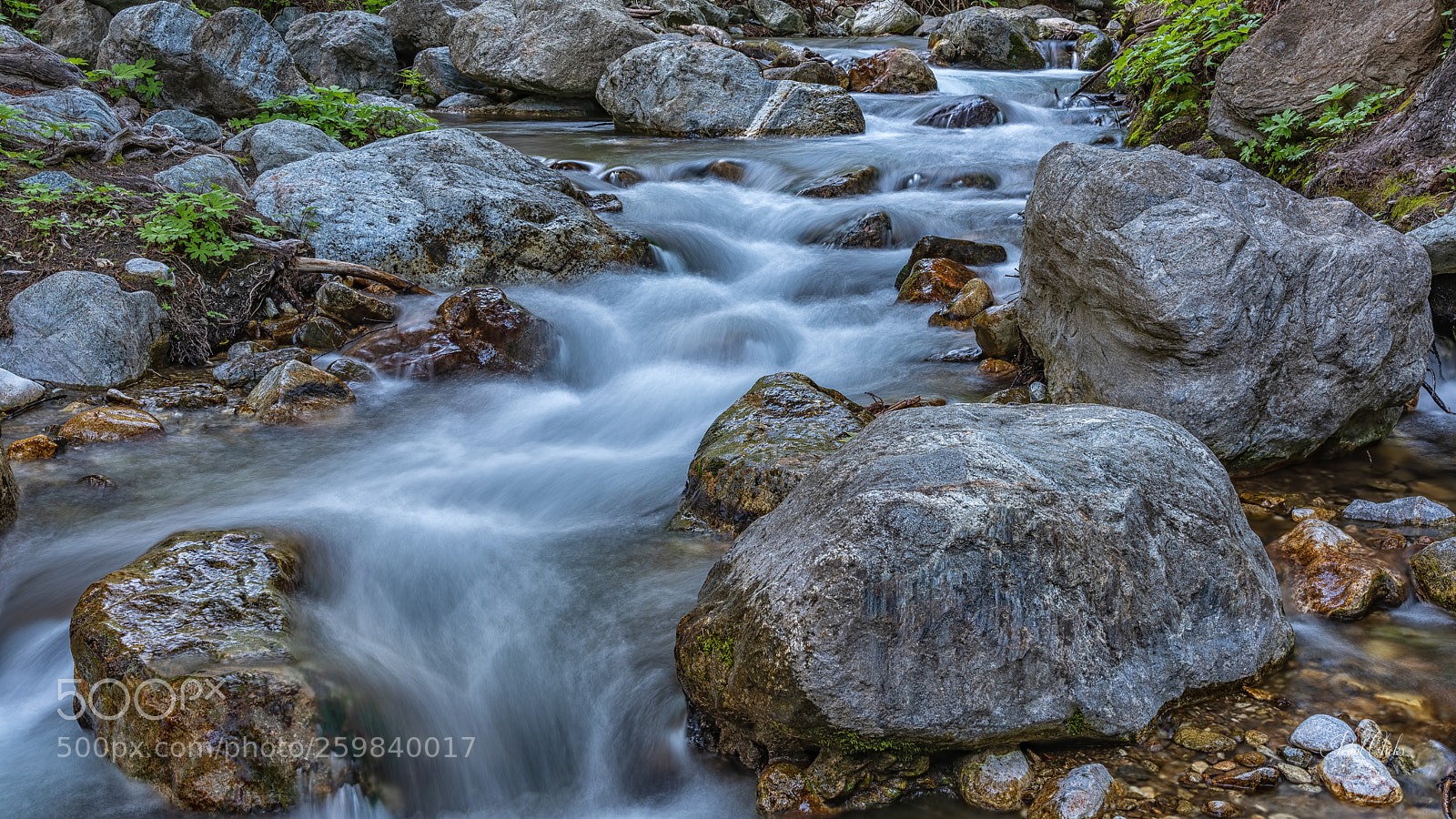 Nikon D810 sample photo. Stream photography