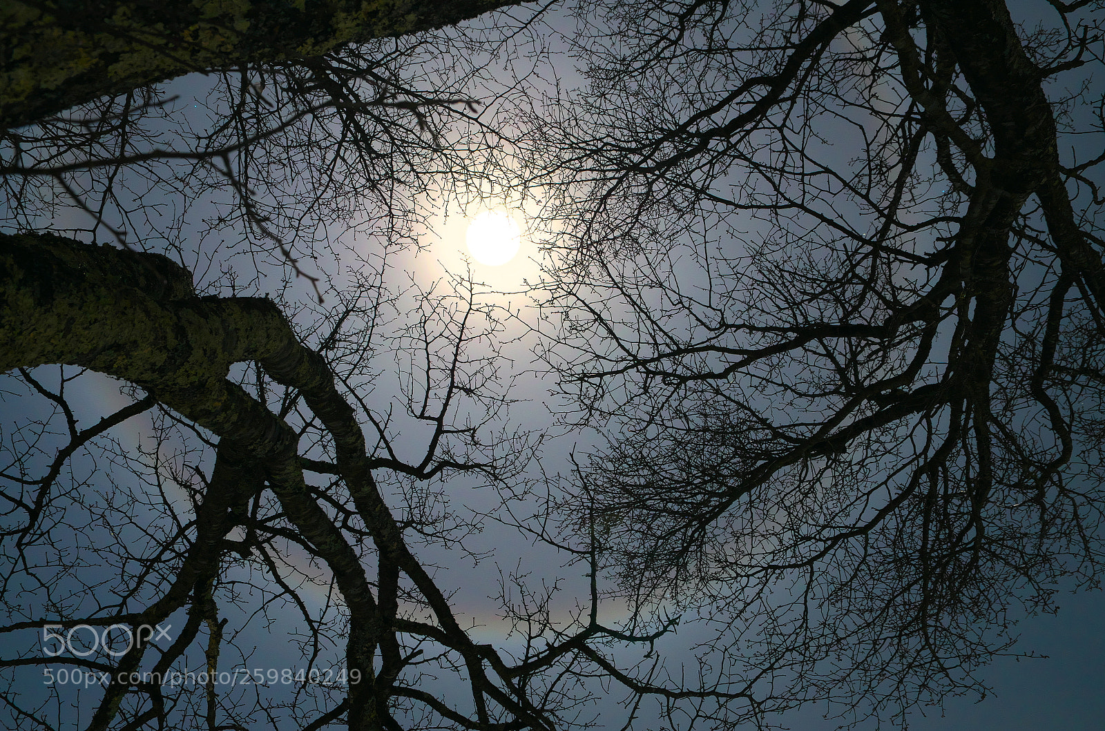 Pentax K-50 sample photo. Moon halo / 月暈（tsukikasa） photography