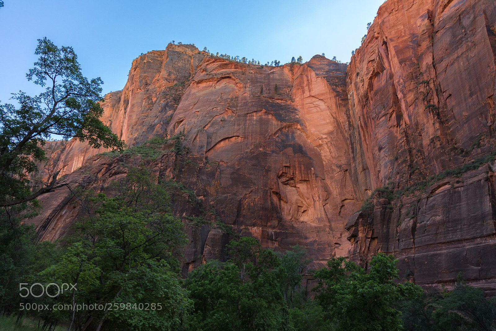 Canon EOS 5D Mark IV sample photo. Zion national park 0779 photography