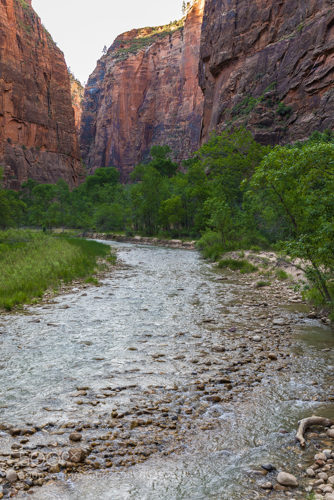 Canon EOS 5D Mark IV sample photo. Zion national park 0787 photography