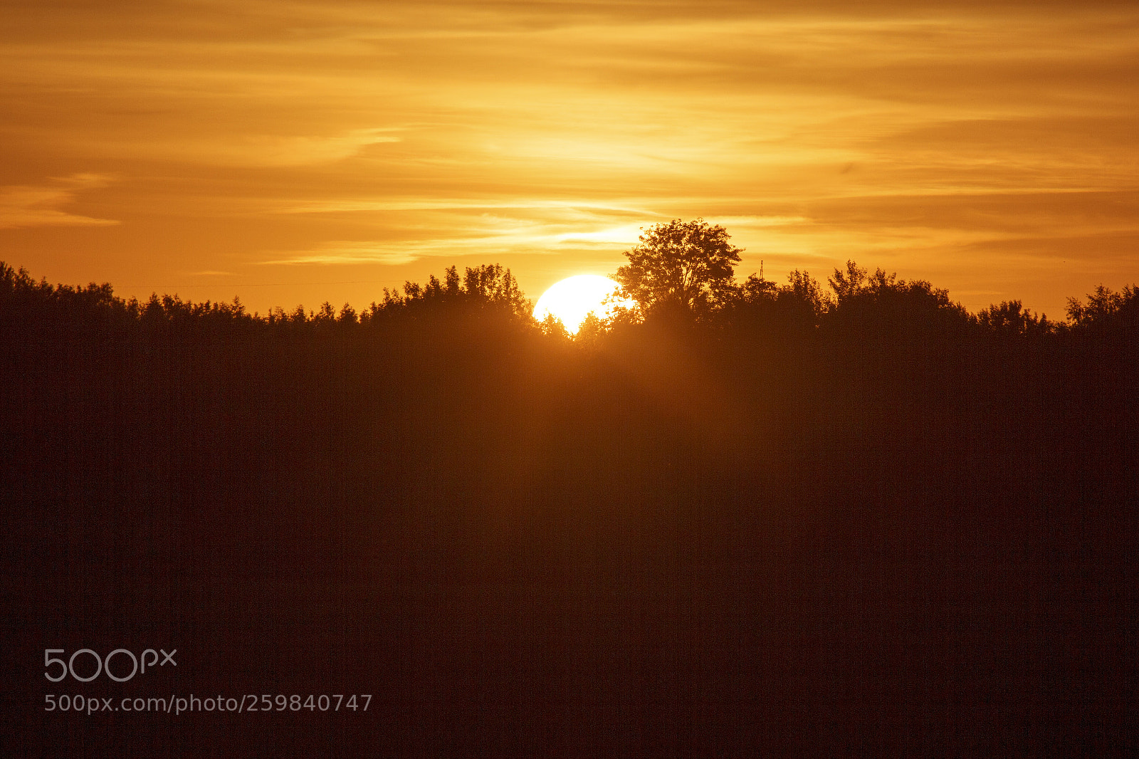 Canon EOS 550D (EOS Rebel T2i / EOS Kiss X4) sample photo. The sun in the photography