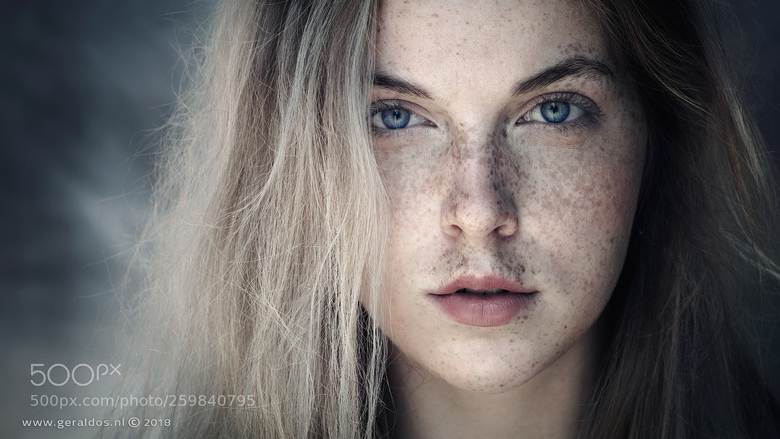 Nikon D850 sample photo. A stranger - groningen photography