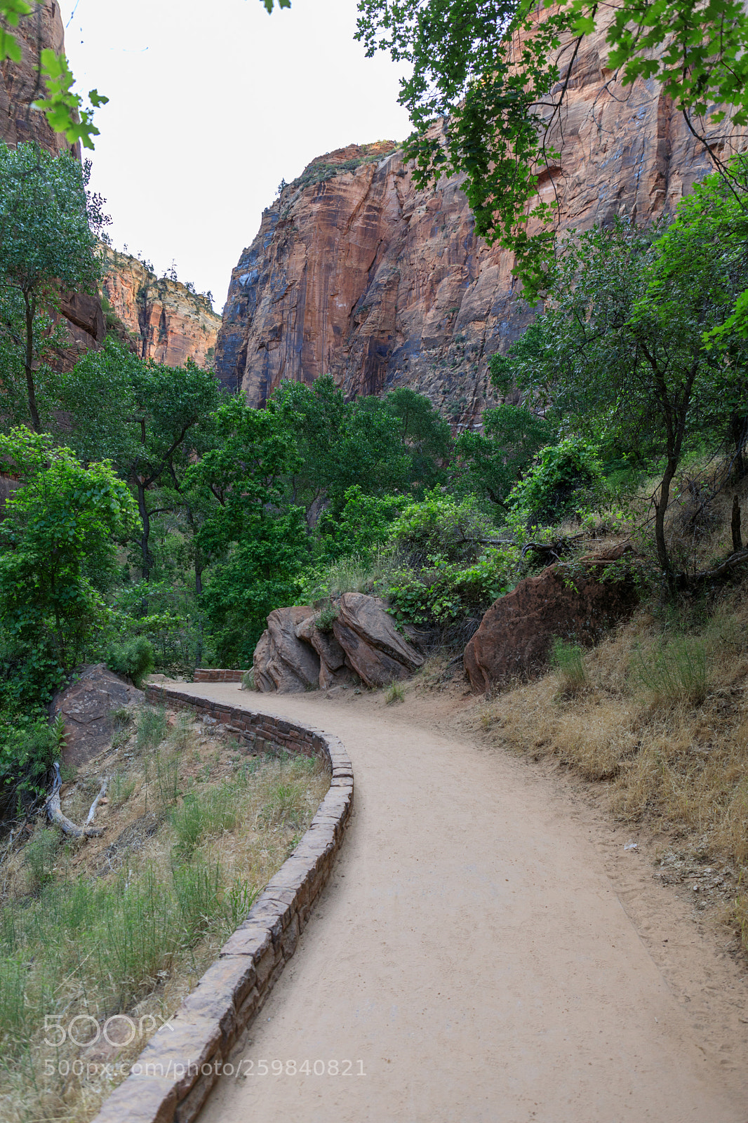 Canon EOS 5D Mark IV sample photo. Zion national park 0829 photography