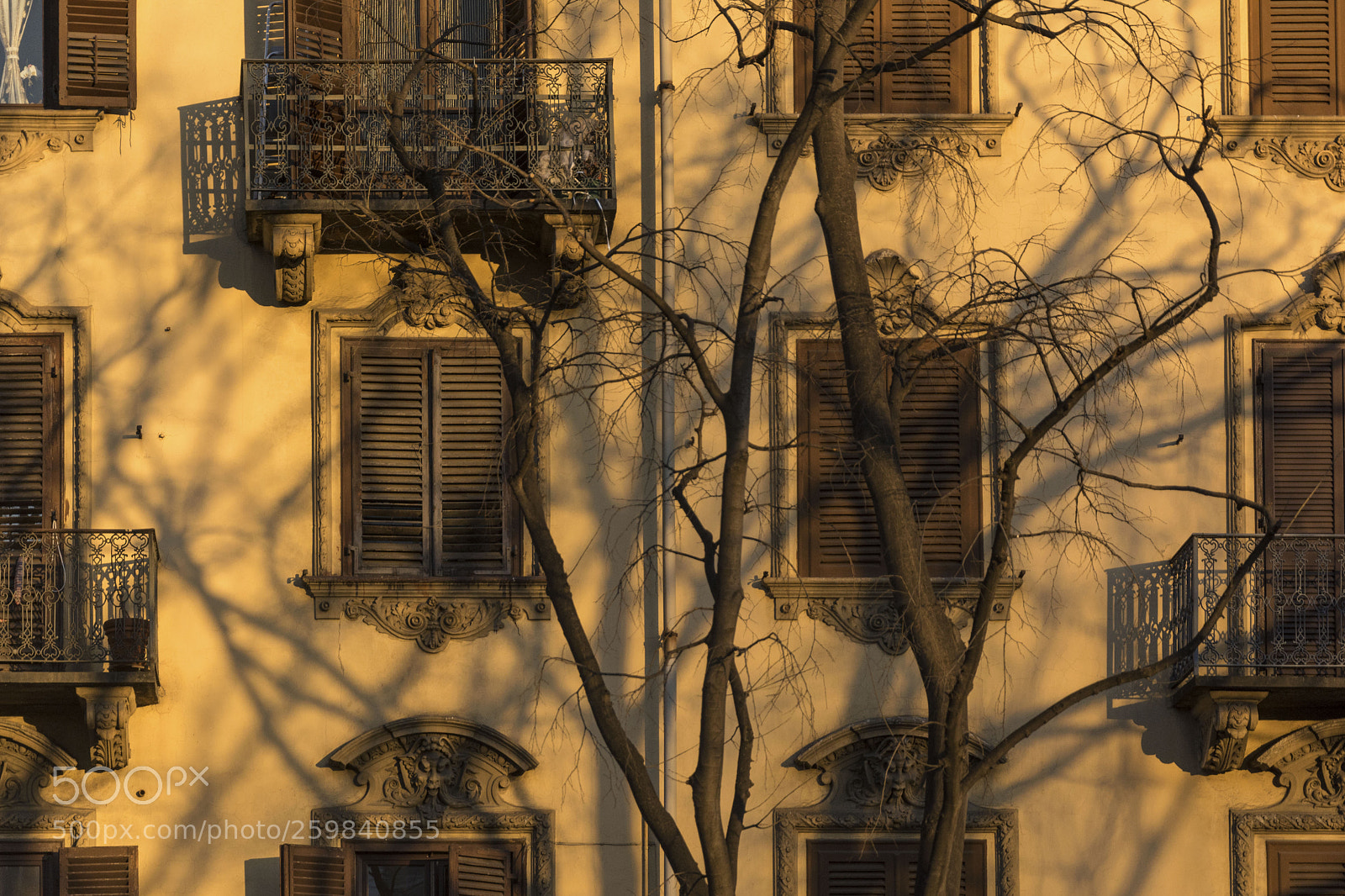 Nikon D5200 sample photo. Turin building at sunset photography