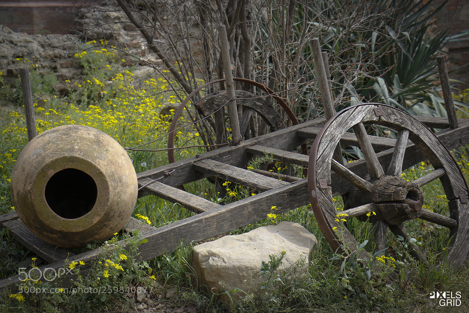 Canon EOS 7D Mark II sample photo. Winepot photography