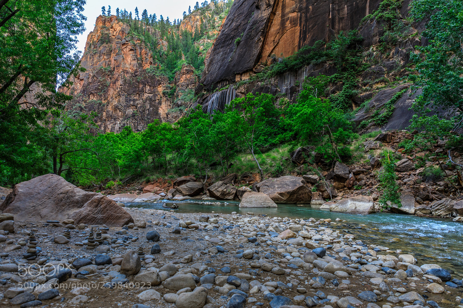 Canon EOS 5D Mark IV sample photo. Zion national park 0937 photography