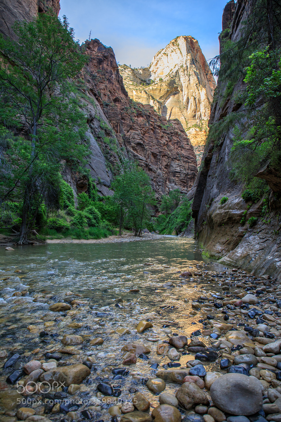 Canon EOS 5D Mark IV sample photo. Zion national park 0909 photography