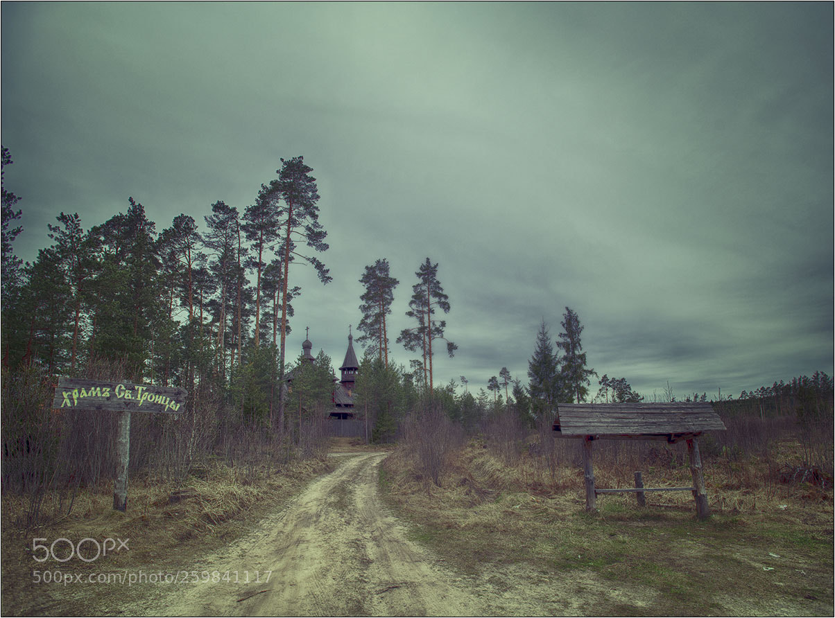 Nikon D850 sample photo. Pereslavl-zalessky photography