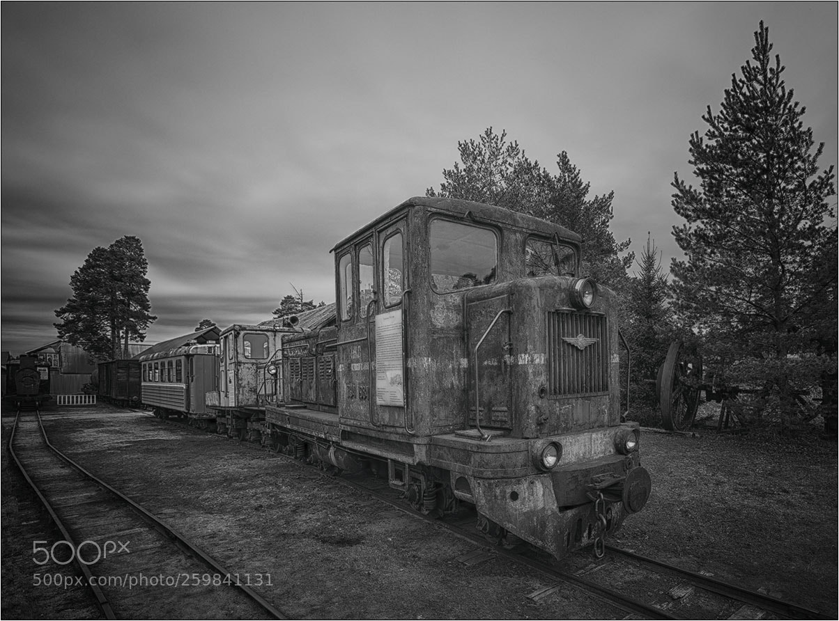 Nikon D850 sample photo. Pereslavl-zalessky photography