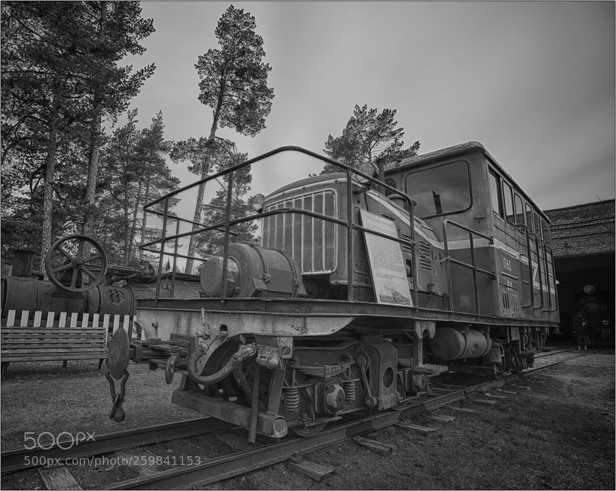 Nikon D850 sample photo. Pereslavl-zalessky photography