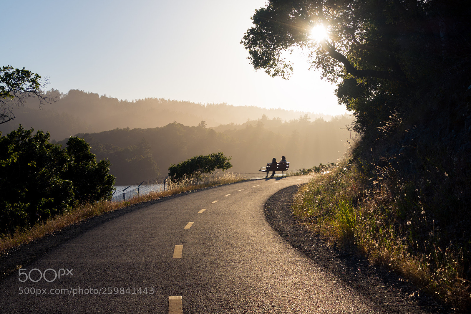Nikon D500 sample photo. Peaceful evening photography