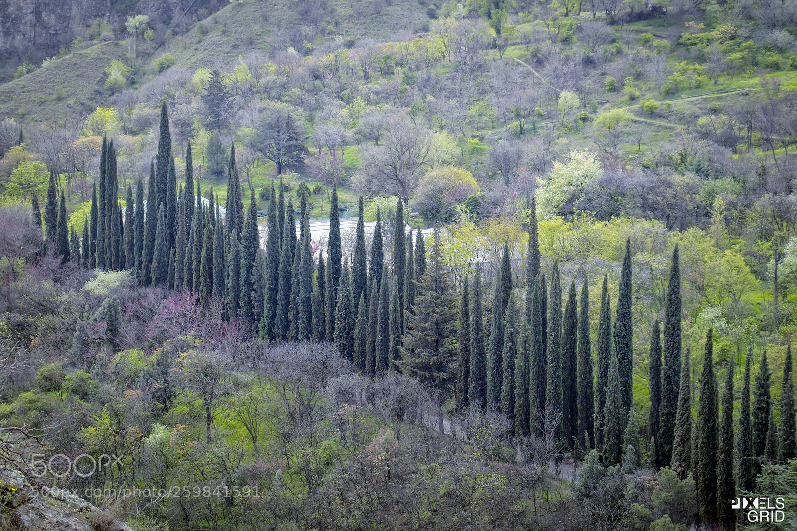 Canon EOS 7D Mark II sample photo. Nature photography